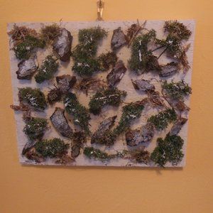 Moss & Bark Original Artwork- First snow